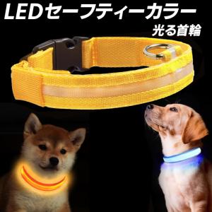 【在庫処分】LEDセーフティーカラー 発光ペット首輪 ドック 犬 散歩 夜 暗所 点滅 ボタン電池 安全 長さ調節 レッド ブルー グリーン オレンジ ピンク イエロー｜toki