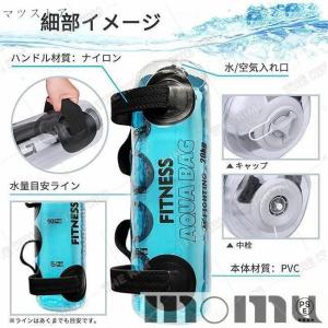 ウォーターバッグ 体幹トレーニング 器具 20...の詳細画像4