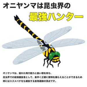 オニヤンマ 虫除け ブローチ スズメバチ はち...の詳細画像4