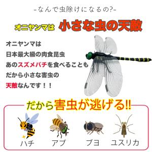 オニヤンマ 虫除け ブローチ スズメバチ はち...の詳細画像5
