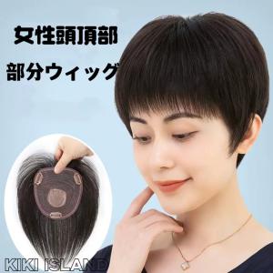 人毛100％ レディースウィッグ 部分ウィッグ ハーフウィッグ つけ毛