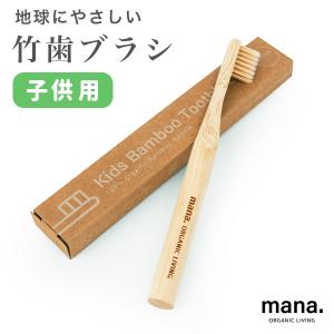竹歯ブラシ 超極細毛 かたさ ふつう (210-32) ナイロン 大人サイズ