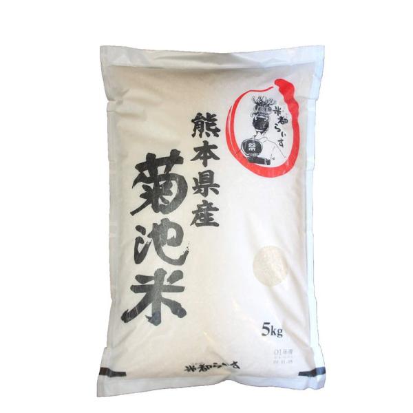 令和4年 熊本県産 菊池米 5kg 11年連続特Aランク受賞のお米