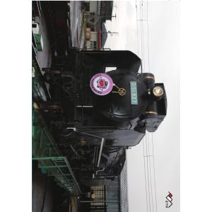 D51　クリアファイル ヨコ A4