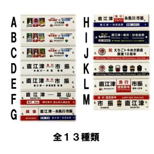 観光急行ミニチュア版行先サボの詳細画像1