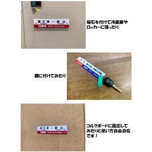 観光急行ミニチュア版行先サボの詳細画像2