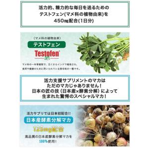 (TENGAヘルスケアキャンペーン活力サプリお...の詳細画像4