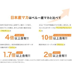 (TENGAヘルスケアキャンペーン活力サプリお...の詳細画像5