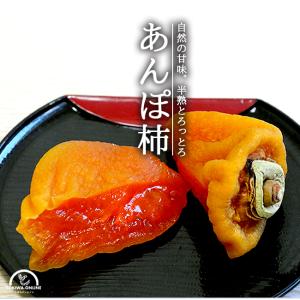 あんぽ柿 干し柿 山梨 3パック 贈り物 贈答用 プレゼントにもおすすめ 送料無料 種無し 柿