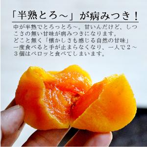 あんぽ柿 干し柿 山梨 3パック 贈り物 贈答...の詳細画像1