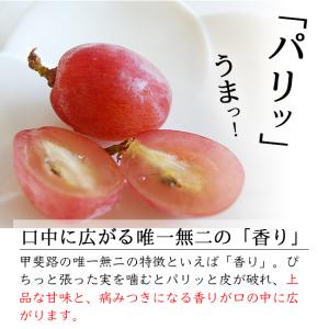 ぶどう 甲斐路 2kg 3~4房 山梨産 送料...の詳細画像2