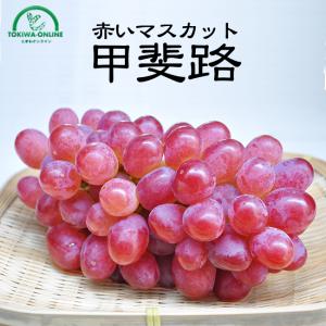 ぶどう 甲斐路 3kg 5~6房 山梨産 送料無料 贈答 ギフト 敬老の日 お供え お彼岸 進物 快気祝い フルーツ 果物 くだもの 通販 秋山農園