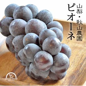 ピオーネ 2kg 3~4房 ぶどう 山梨 送料無料 種なしぶどう プレゼント 贈り物 ギフト フルーツ くだもの 通販 秋山農園