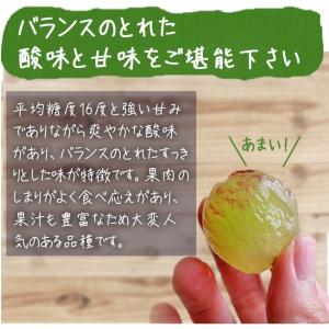 ピオーネ 2kg 3~4房 ぶどう 山梨 送料...の詳細画像2