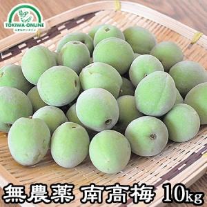 青梅 南高梅 無農薬 梅 10kg 送料無料 梅酒 梅シロップ カリカリ梅