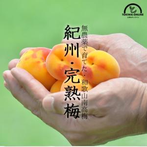 青梅 2kg 無農薬 南高梅 L~3L 梅酒 梅シロップ 梅干し 梅酢