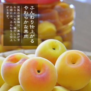 完熟梅 南高梅 無農薬 梅 3kg 送料無料 ...の詳細画像2