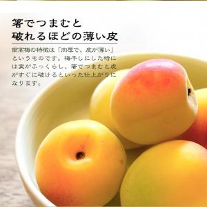 完熟梅 南高梅 無農薬 梅 3kg 送料無料 ...の詳細画像3