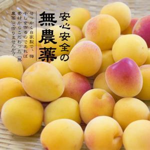 完熟梅 南高梅 無農薬 梅 3kg 送料無料 ...の詳細画像4