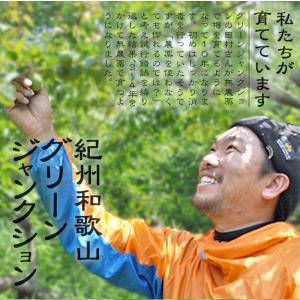 完熟梅 南高梅 無農薬 梅 3kg 送料無料 ...の詳細画像5