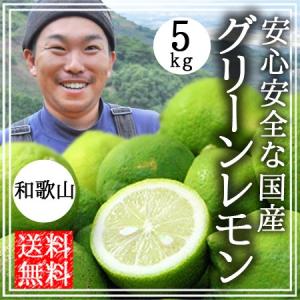 農薬不使用の国産レモン 10kg箱【夏木成りレモン！愛媛の農家直送】0718さ 楽天市場】国産レモン 10kgの通販