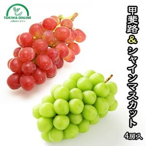 甲斐路 シャインマスカット 抱き合わせ 2房入り 約1kg 送料無料 種なし