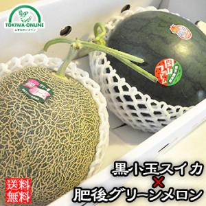 お中元 メロン スイカ ギフト 熊本 2玉入 父...の商品画像