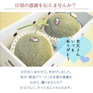 お中元 メロン スイカ ギフト 熊本 2玉入 ...の詳細画像4