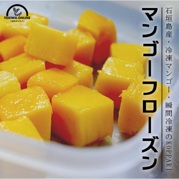 冷凍 マンゴー フローズン 4パック入 国産 沖縄 石垣島