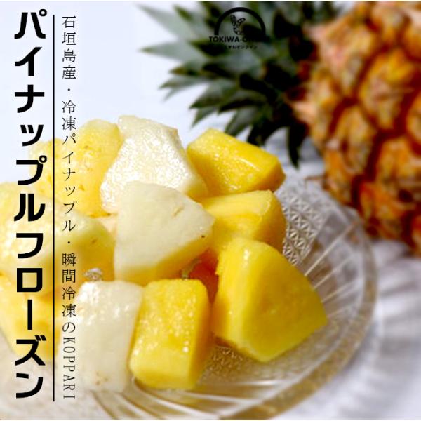 冷凍 パイナップル フローズン 3パック入 国産 沖縄 パイン アップル 石垣島