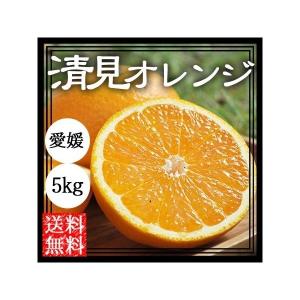 清見 清見オレンジ 5kg 送料無料 清見タンゴ...の商品画像