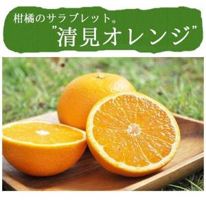 清見 清見オレンジ 5kg 送料無料 清見タン...の詳細画像1