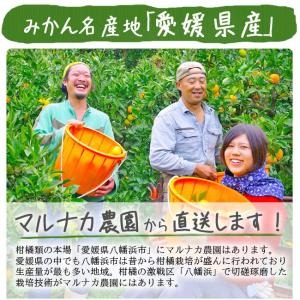 清見 清見オレンジ 5kg 送料無料 清見タン...の詳細画像4