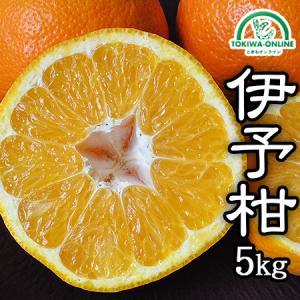 いよかん 5kg 優品 伊予柑 みかん 送料無料 愛媛 秀品 業務用 加工用 農園直送 合格祈願 マルナカ農園