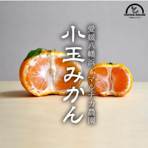 みかん 小玉 小粒 送料無料 5kg 訳あり 小粒みかん 愛媛 八幡浜 箱 買い マルナカ農園 農家直送 産地直送 ノーワックス 果物 フルーツ