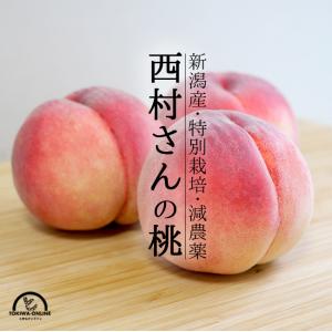 桃 3kg あかつき なつおとめ 白根白桃 まさひめ 新潟 果物 お取り寄せ 通販 農家直送 西村果樹ガーデン