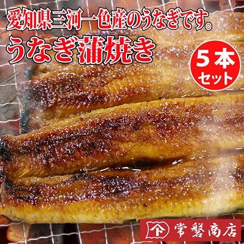 うなぎ蒲焼き 5本セット　鰻