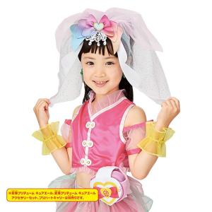 HUG(はぐ)っと!プリキュア 変身プリチュー...の詳細画像2