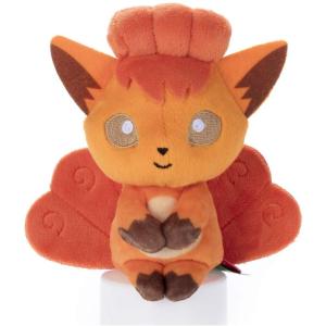 タカラトミー ポケモン ちょっこりさん タケシ ぬいぐるみ