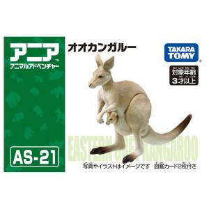 アニア AS-21 オオカンガルーの詳細画像1
