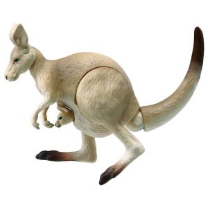 アニア AS-21 オオカンガルーの詳細画像2