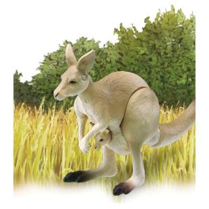 アニア AS-21 オオカンガルーの詳細画像4
