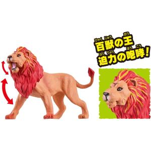 アニア 冒険大陸 アニアキングダム レオニー ...の詳細画像2