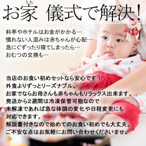 お食い初め 料理と使い切り食器付セット(初膳│...の詳細画像5