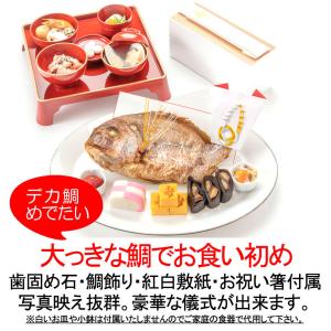 お食い初め【大きな鯛の料理セット】(お食い初め...の詳細画像1