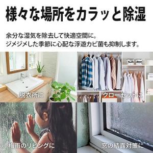 シャープ(SHARP) KIUD50 W 除加...の詳細画像3