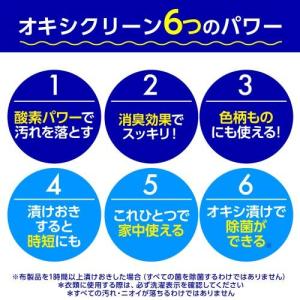 グラフィコ 407308 オキシクリーンEX ...の詳細画像3