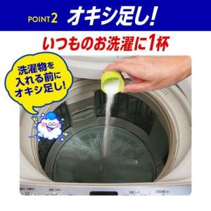 グラフィコ 407308 オキシクリーンEX ...の詳細画像5