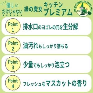 ミマスクリーンケア 375045 緑の魔女キッ...の詳細画像4