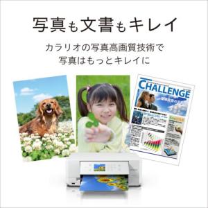 エプソン(EPSON) Colorio カラリ...の詳細画像1